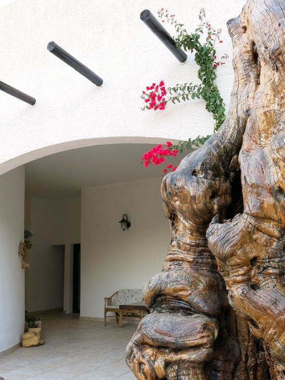 Agriturismo Tenuta Del Morige Galatone Zimmer foto